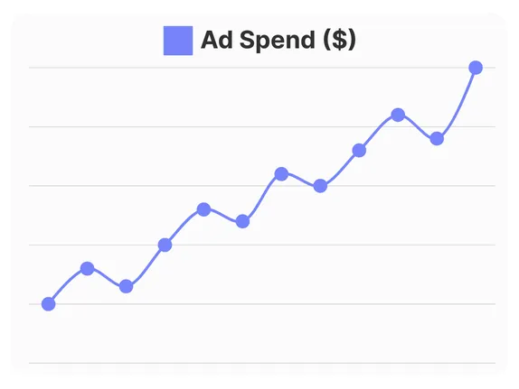 Reporting & Analytics
